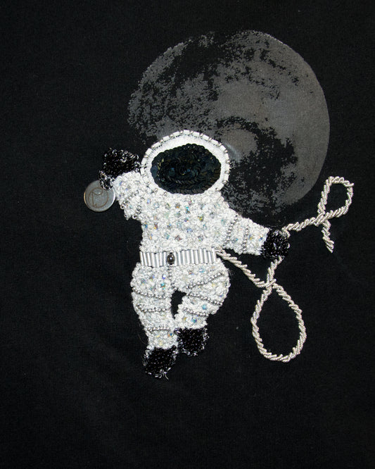FLY ME TO THE MOON